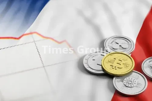 استراتژی‌های سرمایه‌گذاری در فرانسه