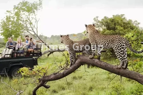 پارک‌های ملی آفریقای جنوبی