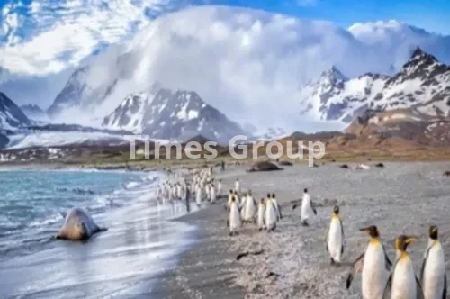 جزایر آرژانتین