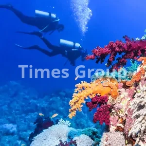 اخذ اقامت کشور بلیز