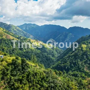 مهاجرت به کشور جامائیکا