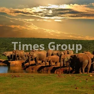 اخذ اقامت کشور آفریقای جنوبی