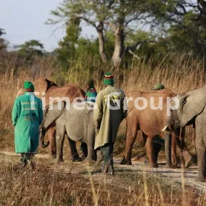 دریافت پاسپورت زامبیا