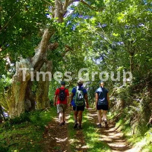 اخذ اقامت کشور سنت هلنا