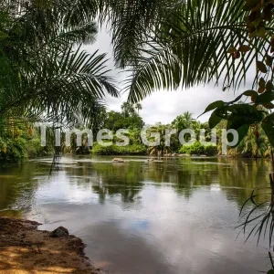 مهاجرت به کشور سیرالئون