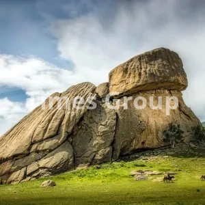 دریافت پاسپورت  مغولستان