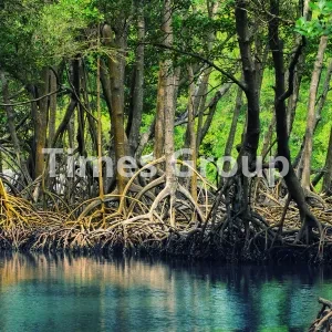 اخذ اقامت کشور جیبوتی