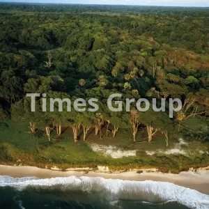 اخذ اقامت کشور گابن