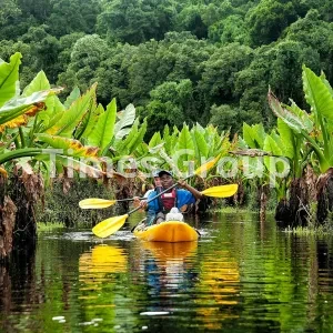 مهاجرت به کشور ماداگاسکار