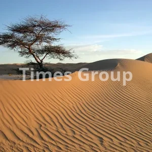 مهاجرت به کشور موریتانی