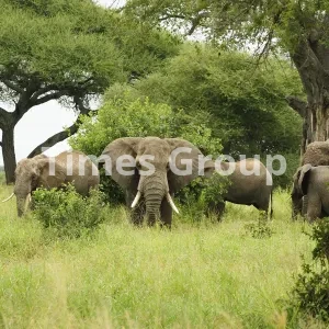 مهاجرت به کشور موزامبیک