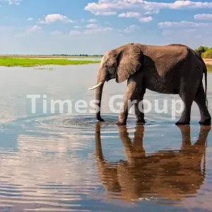 دریافت پاسپورت بوتسوانا