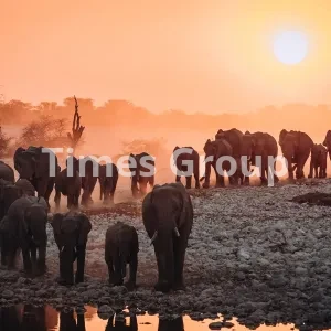 اخذ اقامت کشور بورکینافاسو