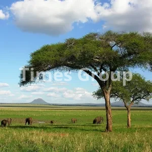 اخذ اقامت کشور بوروندی