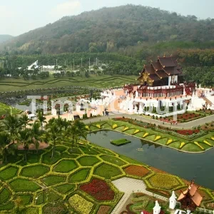 دریافت پاسپورت تایلند