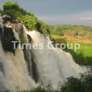 دریافت پاسپورت جمهوری آفریقای مرکزی