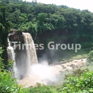 اخذ شهروندی کشور کامرون