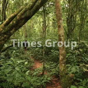 اخذ اقامت کشور کامرون