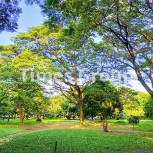 اخذ شهروندی کشور بنگلادش