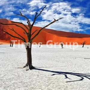 اخذ شهروندی کشور نامبیا