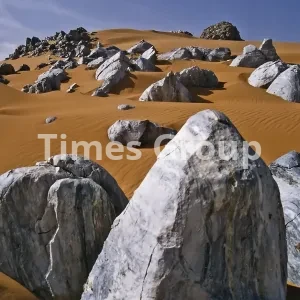 اخذ شهروندی کشور نیجر