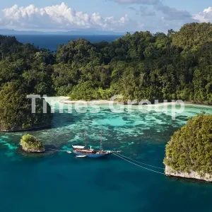 ثبت شرکت در تونگا