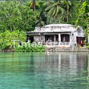 دریافت وقت سفارت ایالات فدرال میکرونزی