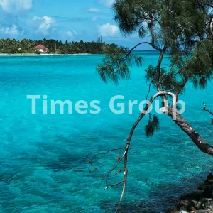 دریافت وقت سفارت کالدونیای جدید