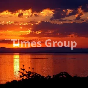 دریافت وقت سفارت تانزانیا