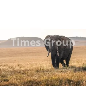 دریافت وقت سفارت سودان