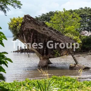 ثبت شرکت در سیرالئون