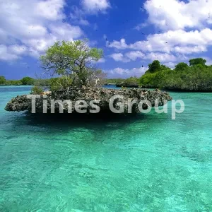 ثبت شرکت در سیشل