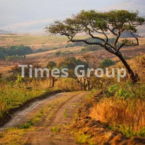 افتتاح حساب بانکی در مالاوی