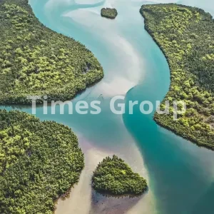 ثبت شرکت در لیبریا