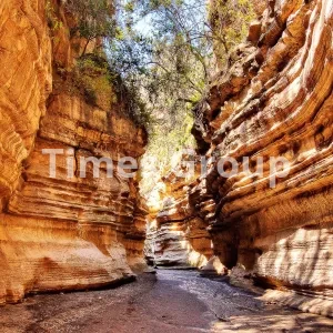 ثبت شرکت در کنیا