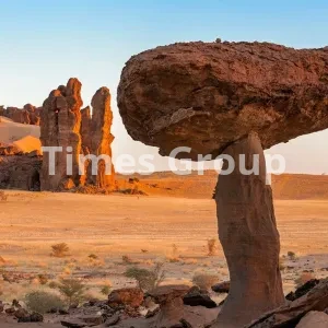 ثبت شرکت در چاد