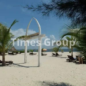 ثبت شرکت در گابن