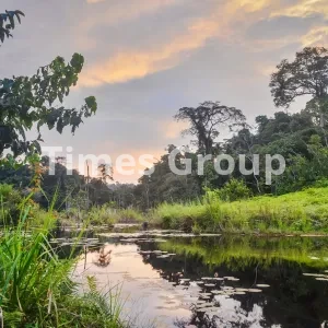 افتتاح حساب بانکی در گابن