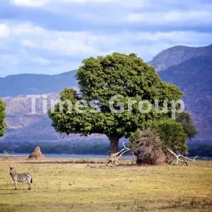 افتتاح حساب شرکتی و بیزینسی در گابن