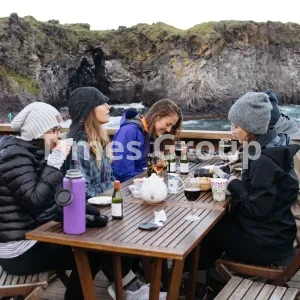 دریافت وقت سفارت ایسلند