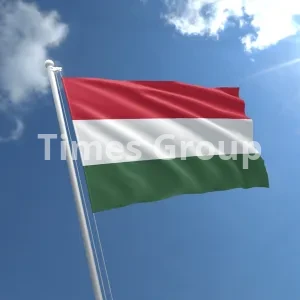 افتتاح حساب شرکتی و بیزینسی در مجارستان