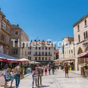 دریافت وقت سفارت کرواسی