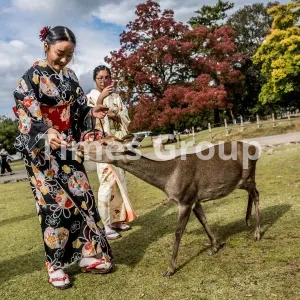 ثبت شرکت در ژاپن