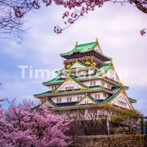 دریافت وقت سفارت ژاپن