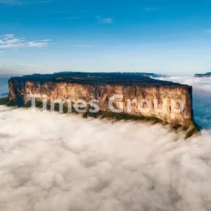 ثبت شرکت در ونزوئلا