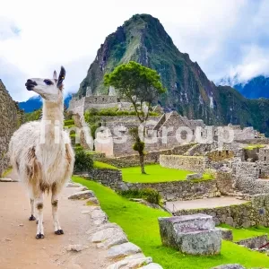 ثبت شرکت در پرو