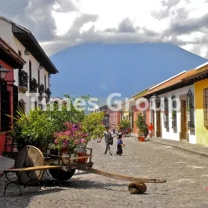 دریافت وقت سفارت گواتمالا