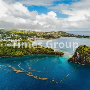 ثبت شرکت در سنت وینسنت و گرنادینها