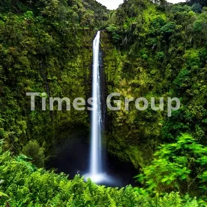 افتتاح حساب شرکتی و بیزینسی در سنت لوسیا