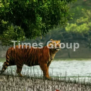 افتتاح حساب بانکی در بنگلادش